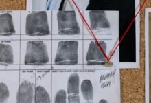 caller investigation oversight board