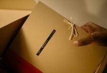 fraud surveillance oversight bureau