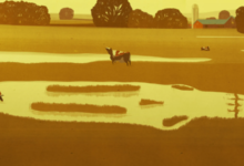 Managing the Dry Season: How Dust Control Darwin Keeps the Top End Healthy and Safe